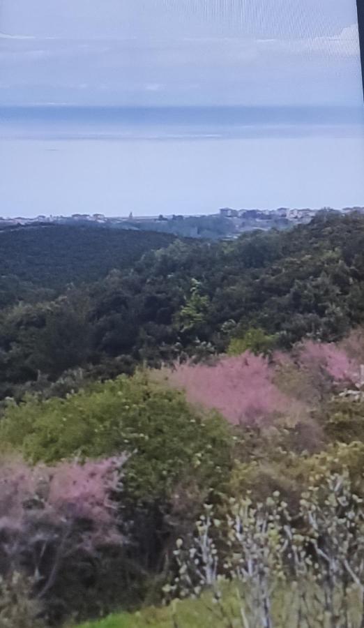 Πανοραμα Villa Aigani Bagian luar foto